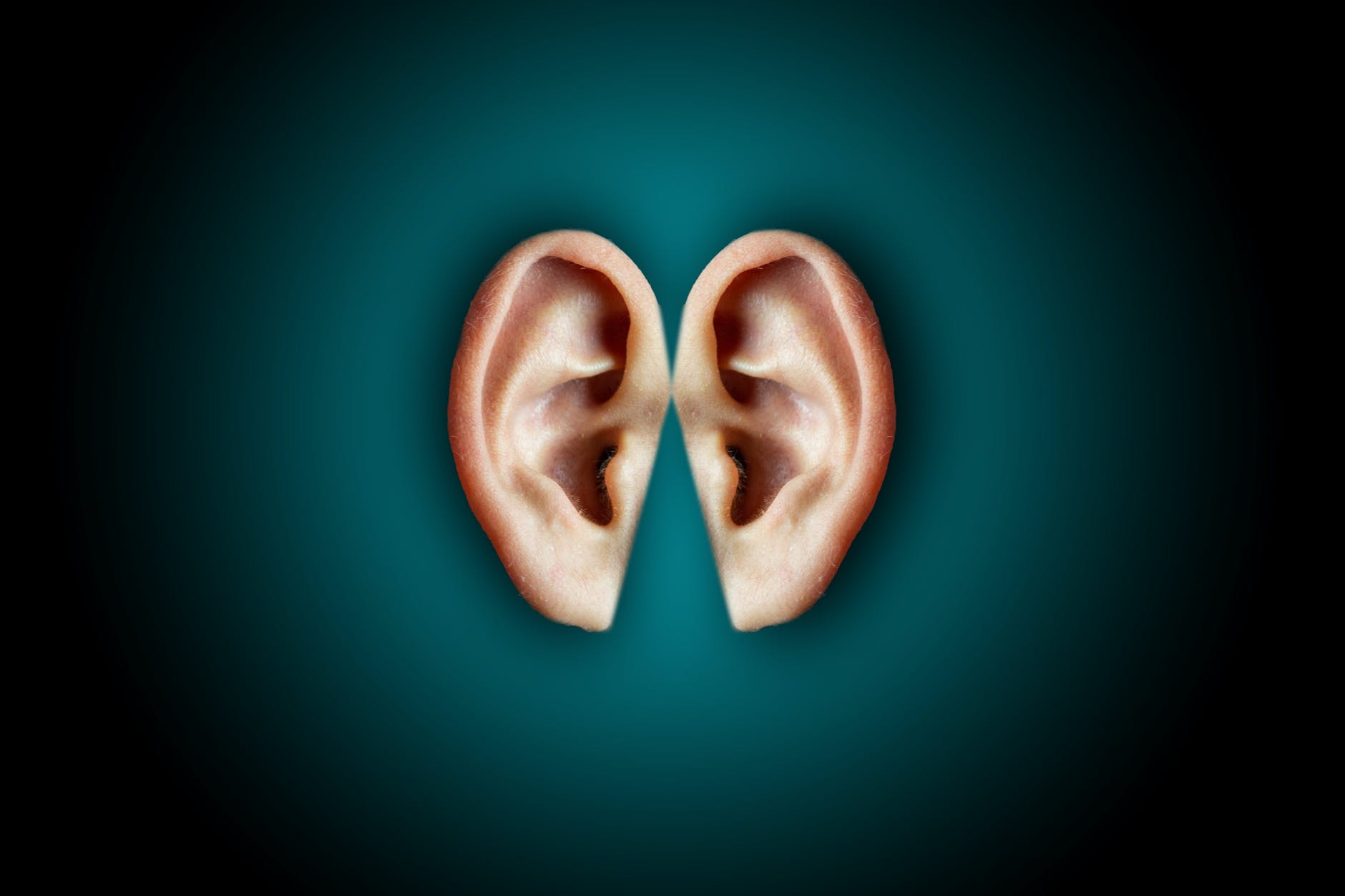 creative shot of human ears on dark background