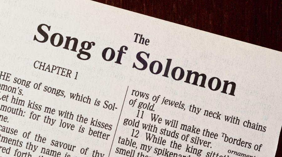 Song of Solomon excerpt